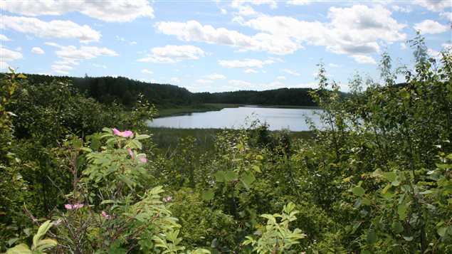 The Nature Conservancy of Canada hopes to encourage people to visit lands it has acquired such as the Upper North Saskatchewan River Basin in the western province of Alberta.