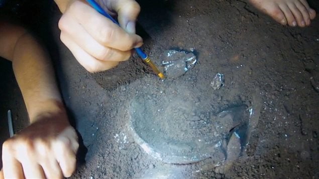 Marina Elliott and colleagues excavate fragments of a Homo naledi skull.