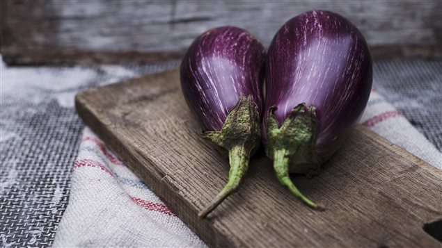 L'aubergine se cuisine partout dans le monde, parfois en accord avec la tomate, parfois en différentes variétés de moussaka. L'aubergine se cuisine partout dans le monde, parfois en accord avec la tomate, parfois en différentes variétés de moussaka.