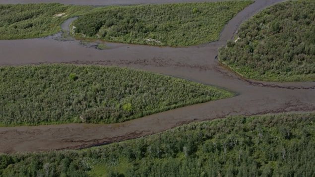 The North Saskatchewan River, where up to 250,000 litres of oil and chemicals were spilled earlier this month from a Husky Energy pipeline, has turned a dark grey as officials battle to keep potable water flowing to cities and towns in the region. We see the river meandering through the green country side, bearing a very ugly colour.
