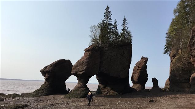 حديقة Hopewell Rocks الشهيرة في نيوبرزويك 