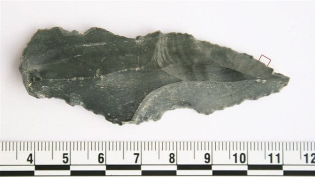 Researchers say this Stone Age blade that tested positive for rhino residue reveals that early humans were capable of taking advantage of a wide variety of prey in a challenging environment hundreds of thousands of years ago.  We see a liver-coloured object that is forms a fish-face-shaped point at the right. The back is more rounded. It appears to be about two or three inches in width and (according to a ruler at the bottom of the photo) eight inches in length.