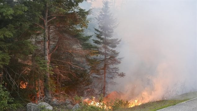 النيران في غابة سفن مايل ليك (Seven Mile Lake) في نوفا سكوشا.
