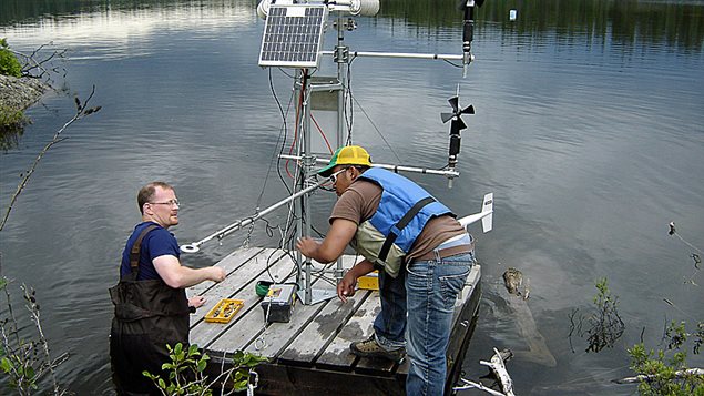 Científicos trabajando en los lagos experimentales.