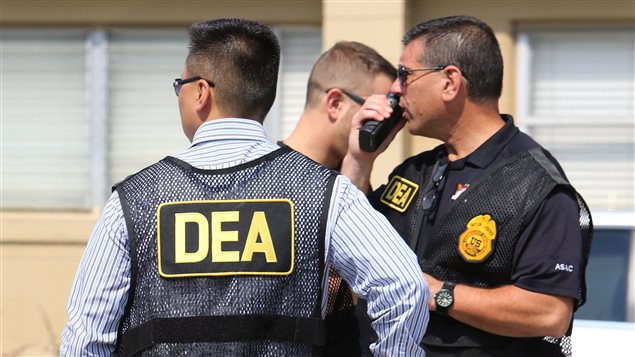 La DEA es el principal opositor a una revisión de la clasificación de la marihuana.