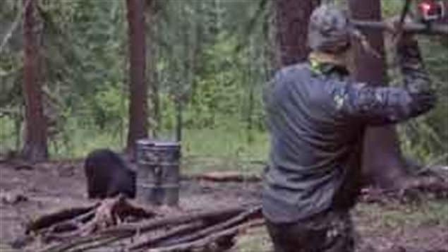 The video shows Bowmar winding up to throw the spear at the bear.