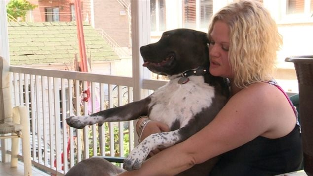 Montrealer Lina Giannelli says she would move if she were not allowed to keep her pit bull.