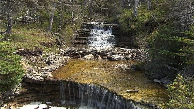 La nature sauvage d’Anticosti.