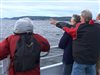 Un zodiac heurte une baleine au large de la Côte-Nord, 2 occupants éjectés