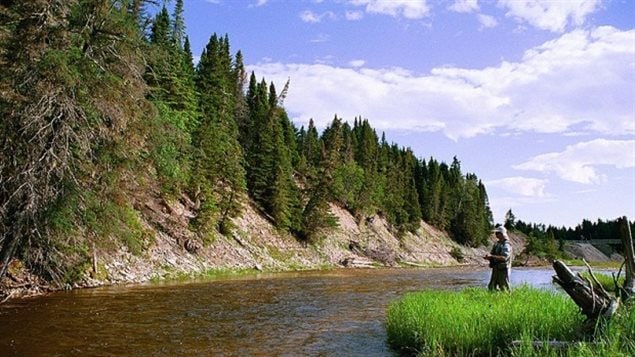 Anticosti boasts 24 rivers and streams that are home to a bounty of salmon and trout.