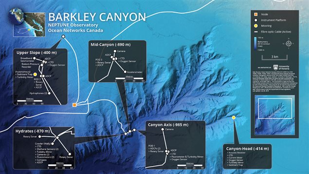 Relieve marino del cañón de Barkley, donde Ocean Neteworks Canadá, ONC, tiene instrumentos de medición científica instalados.