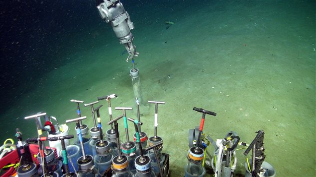 Obtención de testigos de sedimento mediante el uso de un robot submarino operado a control remoto, ROV.