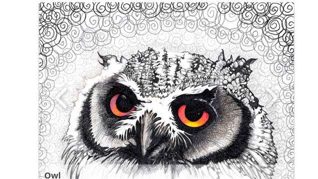 Argue also does detailed works which go into the *fine art* category.. this is *Owl*
