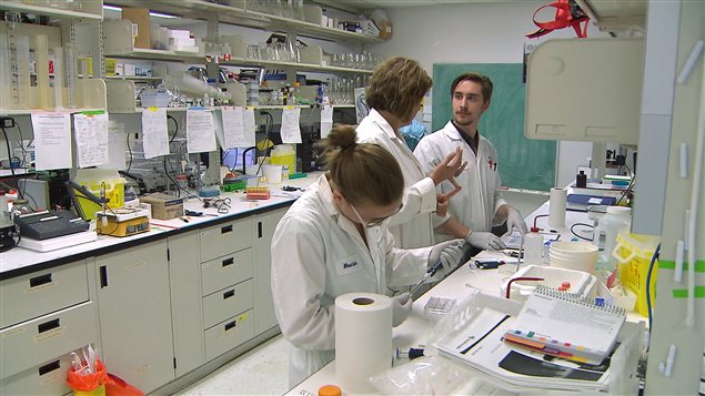 Laboratorio de la Universidad de Quebec en Montrea, UQAM.