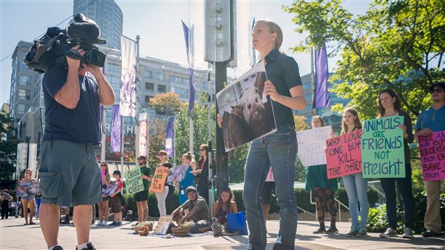 Animal advocates took to the streets in Vancouver (above), Toronto and Calgary on Monday. Similar demonstrations against the mistreatment of farm animals were held in 70 other cities around the world. We see a tall blond woman (Anna Pippus) wearing a blue shirt and jeans standing and holding a poster while she is being photographed by a television cameraman. Behind them stand several dozen people, also holding signs and placards.