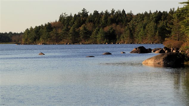 Land around the Tusket River in Nova Scotia was acquired and is protected by the Nature Conservancy of Canada.