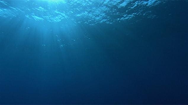 ocean