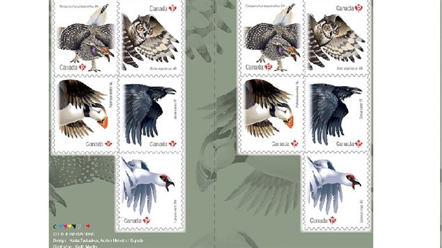  Birds of Canada featured on new series of Canadian stamps