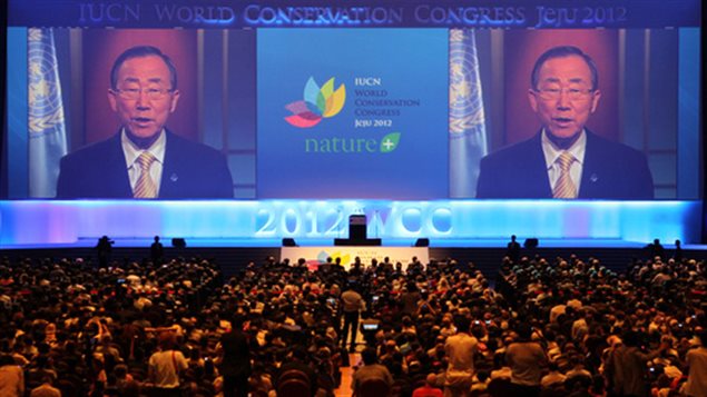 Plastic Oceans presentation at the IUCN congress in Hawaii,