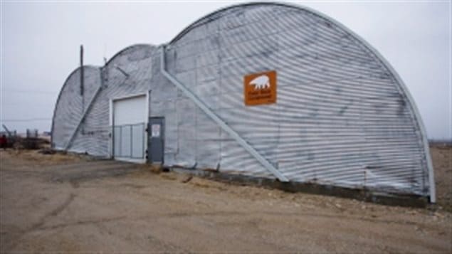 The Polar Bear Compound in Churchill, Man., also known as the ’polar bear jail’ where problem bears are housed before being relocated north up the Hudson coastline, or held until freeze up when they can be let out to go onto the ice. Inside are a number of *cells* where up to 30 bears can be kept