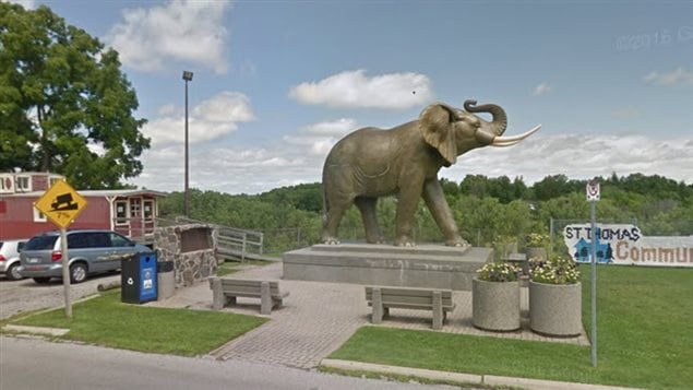 On the 100th anniversary of the death of Jumbo, the city of St Thomas commissioned a statue to the famous elephant places at 76 Talbot Str. They included tusks, but Jumbo, anxious at confinement, always fubbed them against objects and wore them down.