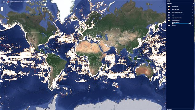 Anyone with internet access can search Global Fishing Watch to monitor and track the world’s largest commercial fishing vessels in close to real time.