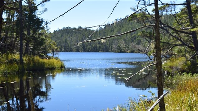 A large lake and surrounding land on Spider Island is part of the acquisition. 