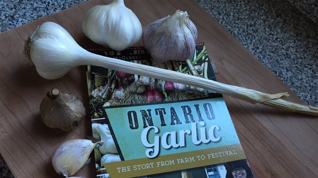 Il y a une centaine de producteurs d'ail en Ontario. Il y a une centaine de producteurs d'ail en Ontario.