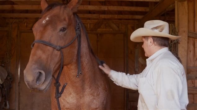 Some 98% of sage-grouse are gone, Cattle were once seen as the problem, now they may be part of the conservation solution. Miles Anderson’s ranch has been in the family for over 100 years.