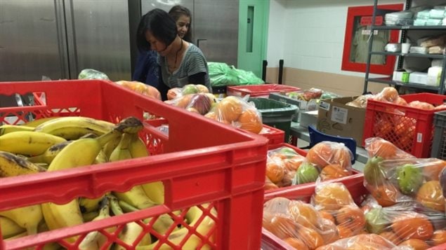 Canada may be a wealthy country, but there are many citizens who have trouble getting the food they need and may rely on food banks.