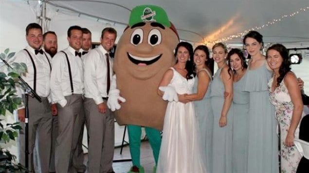 Tate the Tater was photographed with the Ramsay wedding party on August 27, 2016.