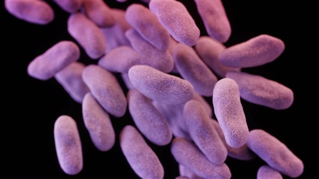 An electron micrographic image shows Enterobacteriaceae bacteria which have become resistant to carbapenem, an antibiotic used to treat multi-resistant bacteria.