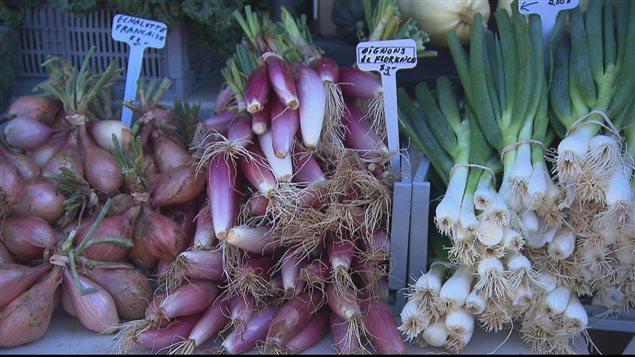 Des légumes au marche public de La Mitis. Des légumes au marche public de La Mitis.