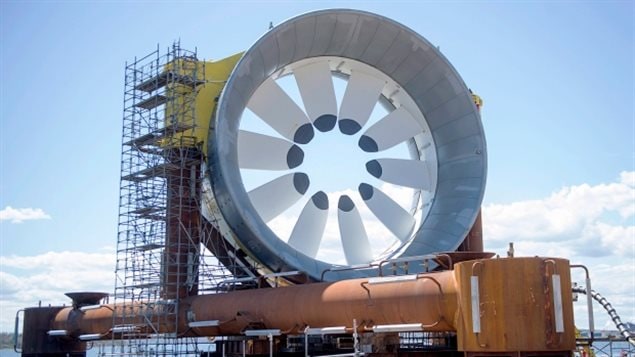 Cape Force Tidal wants to place two, five-story high turbines in the Minas passage to harness the energy of the massive Bay of Fundy tides. The company is a joint partnership between Halifax-based energy services company Emera Inc. and OpenHydro, a subsidiary of DCNS, a French conglomerate that specializes in naval defence and energy. Cape Force is one of five technologies seeking to be tested in the area.