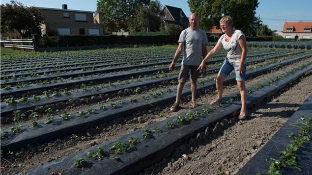  Mr. Luc Snauwaert and his wife, Mrs. Brigitte De Meyer, farmers near Moerkerke, Belgium, explain where Private Duncanson’s remains were found in their fields, near Moerkerke, Belgium, on September 13, 2016.