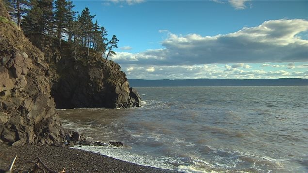 Des entreprises veulent utiliser les marées de la baie de Fundy pour produire de l’électricité.
