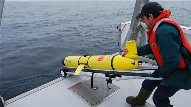 The glider autonomous vehicle looks like a torpedo, it travels underwater collecting and analyzing whale calls and then surfaces every 48 hours to transmit data via satellite to the researchers on land.