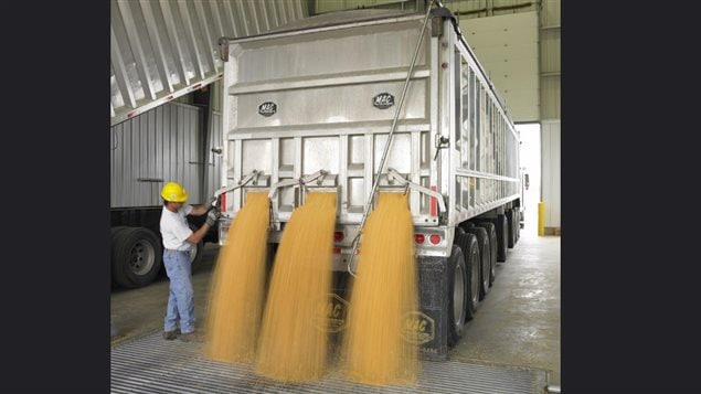 Corn and grains for ethanol. While the new report says biofuels subsidies should be ended, others have long said diverting food crops for fuel production has never been a good idea.