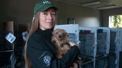 Rebecca Aldworth is the executive-director of Humane Society International- Canada