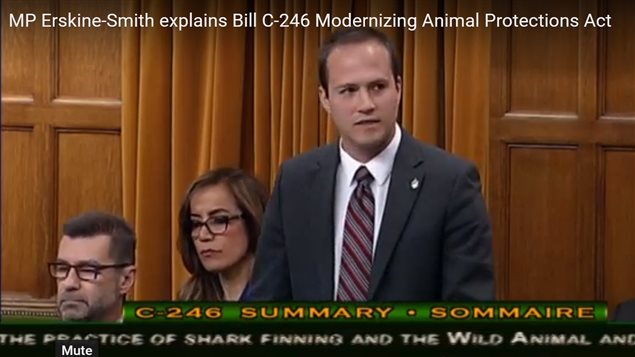 Liberal MP for Beaches-East York in the House of Commons explaining his bill