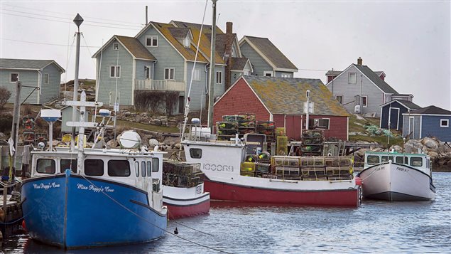 When the cod fishery collapsed in 1992, fishermen shifted over to catching shellfish like lobster.