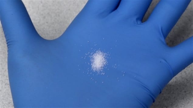 This much carfentanil can kill you, and everyone you know. A single grain of table salt weighs about 60 micrograms. The RCMP say 20 micrograms of carfentanil can be fatal.