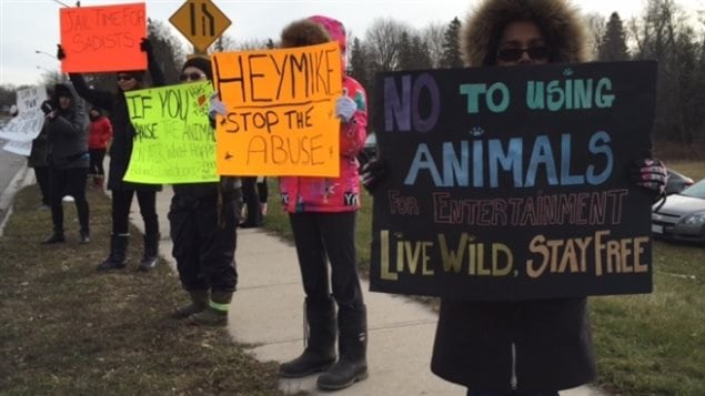 Protestors outside the zoo in December 2015. They have often been outside the zoo, and were there on the final day expressing satisfaction the zoo is closing.