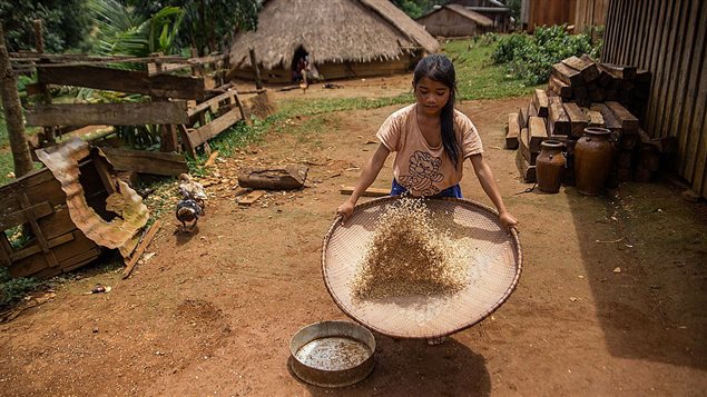 A young girl from the Bunong indigenous group carries out her chores on August 8, 2014 in Mondulkiri, Cambodia. 