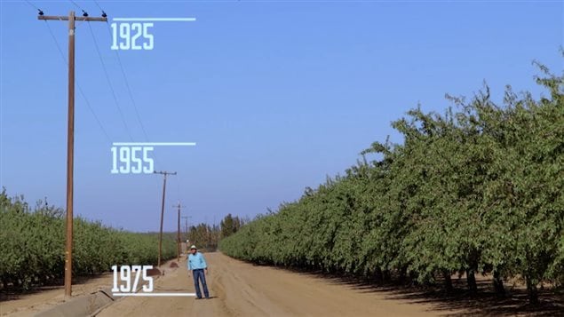 As an example of how much the land has sunk through pumping out the aquifer, the telepone pole indicates previous land heights showing the entire region has sunk by several metres