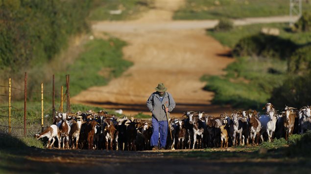 Los pequeños productores europeos temen la ruina como consecuencia del acuerdo.