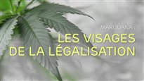 Marijuana : les visages de la légalisation