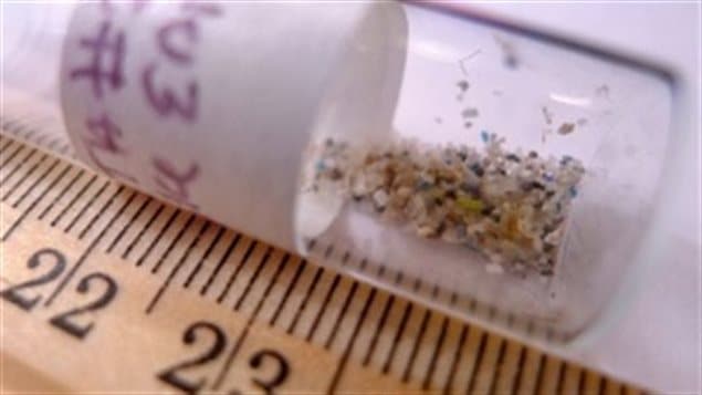 Microbeads used in some toothpastes and cosmetics, range in size from 0.0004 to 1.24 mm, making them too small to be filtered out by wastewater treatment plants. They absorb toxins and then can be eaten by fish mistaking them for food. They then accumulate the toxins, which accumulate further up the food chain, or the plastic can sit in the gut of fish and birds causing slow starvation.