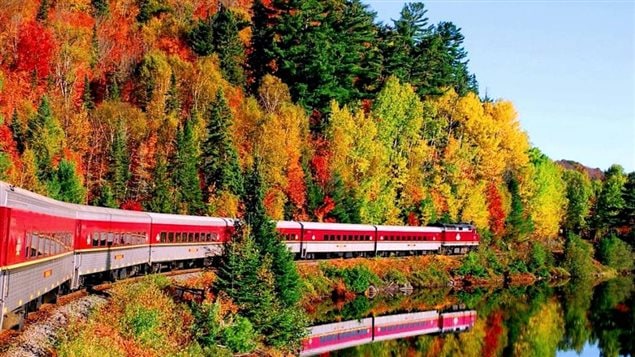 The Agawa Canyon train is a wonderful experience to see the magnificent autumn colours of the northern Ontario forests