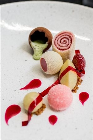 Raspberry PotpourriRoulade, Ganache, Gum Drops, Fruit Leather, Coulis, with Vanilla Bean Ice-Cream & Mint Espuma